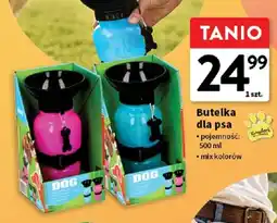 Intermarche Butelka dla psa Kingdom oferta