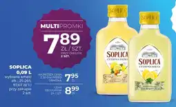 Duży Ben Likier Soplica Cytryna-Pigwa oferta