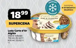 Netto Lody Carte D'or oferta