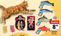 Intermarche Zabawka dla kota Pet Nova oferta