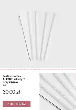 Homla Zestaw słomek szklanych ALCOLE z czyścikiem oferta