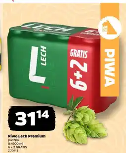 Netto Piwo Lech oferta