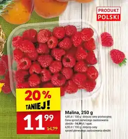 Twój Market Malina polska oferta