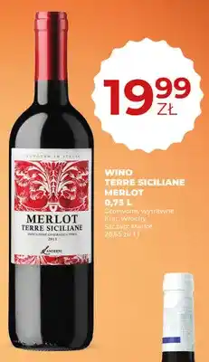 Duży Ben Wino Terre Siciliane Merlot oferta