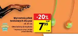 Intermarche Wyrzutnia piłek tenisowych dla psa Cooper & Pals oferta