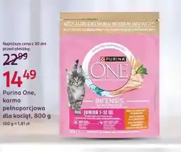 Rossmann Purina One, karma pełnoporcjowa dla kociąt oferta