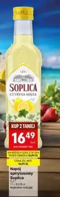 Delikatesy Centrum SOPLICA oferta