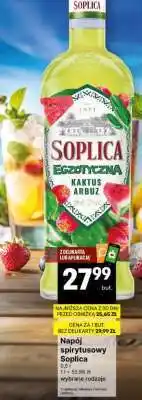 Delikatesy Centrum Soplica Egzotyczna Kaktus Arbuz oferta