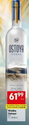 Delikatesy Centrum Wódka Ostoya oferta