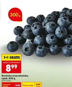 Biedronka Borówka amerykańska opak 300 g oferta