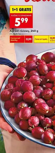 Biedronka Agrest różowy, 250 g oferta