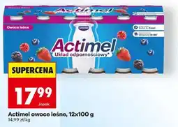 Biedronka Actimel owoce leśne, 12x100 g oferta
