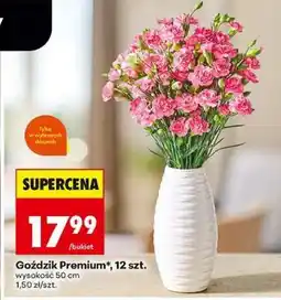 Biedronka Gozdzik premium 12 szt oferta
