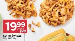 Stokrotka Market Kurki świeże oferta