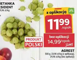 Stokrotka Market Agrest oferta
