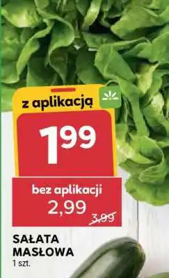 Stokrotka Market Sałata masłowa oferta