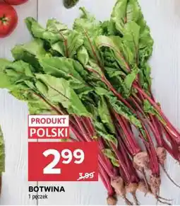 Stokrotka Market Botwina oferta