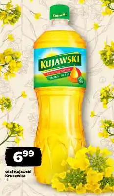 Netto Olej Kujawski Kruszwica oferta