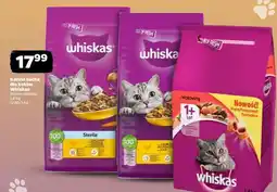 Netto WHISKAS Karma sucha dla kotów oferta