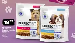 Netto PERFECT FIT oferta