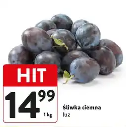 Intermarche Śliwka ciemna oferta