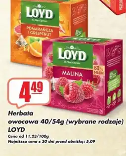 Sezamek Herbata owocowa LOYD oferta