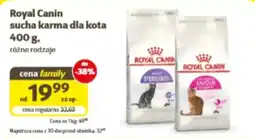 Kakadu Royal Canin sucha karma dla kota oferta