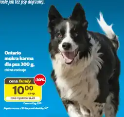 Kakadu Ontario mokra karma dla psa oferta