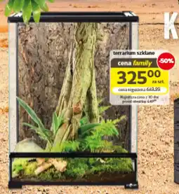 Kakadu Terrarium szklane oferta