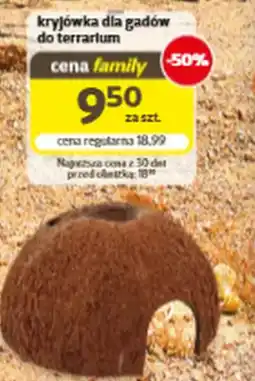 Kakadu kryjówka dla gadów do terrarium oferta