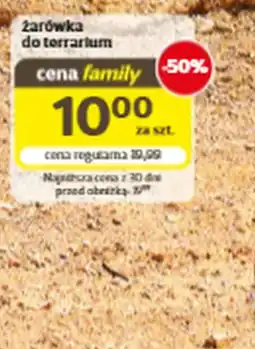 Kakadu Żarówka do terrarium oferta