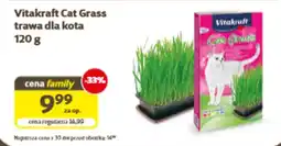 Kakadu Vitakraft Cat Grass trawa dla kota oferta