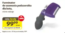 Kakadu Furminator do usuwania podszerstka dla kota oferta