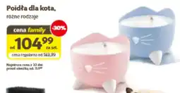 Kakadu Poidła dla kota oferta
