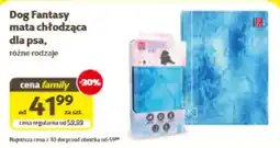 Kakadu Dog Fantasy mata chłodząca dla psa oferta