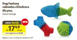 Kakadu Dog Fantasy zabawka chłodząca dla psa oferta