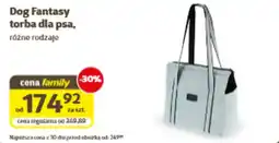 Kakadu Dog Fantasy torba dla psa oferta