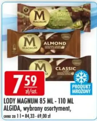 Lody Magnum