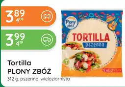 Eurocash Dystrybucja Tortilla plony zbóż oferta