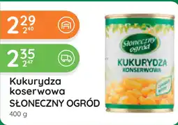 Eurocash Dystrybucja Kukurydza koserwowa słoneczny ogród oferta
