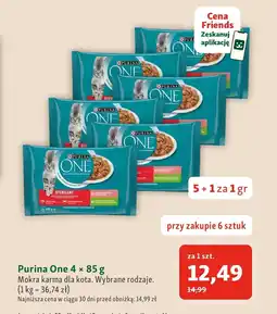 Maxi Zoo Mokra karma dla kota Purina One oferta