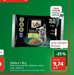 Maxi Zoo Mokra karma dla kota Sheba oferta