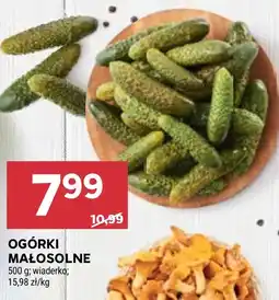 Stokrotka Market Ogórki oferta