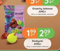 Eurocash Dystrybucja Rodzynki ameli oferta