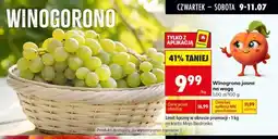 Biedronka Winogrono jasne oferta