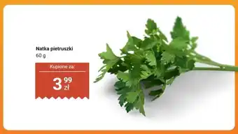 Dino Natka pietruszki oferta