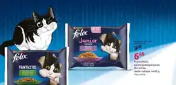 Rossmann Karma dla kotów Purina Felix Fantastic Wiejskie Smaki 4-pak oferta