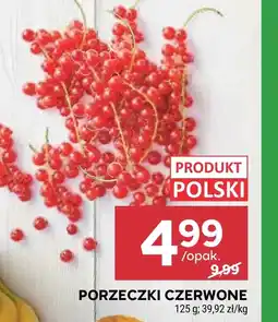 Stokrotka Porzeczki Polski oferta