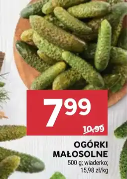 Stokrotka Ogórki oferta