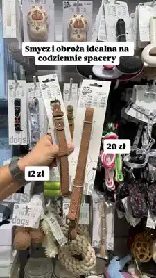 Pepco Smycz i obroża dla psa For Pets oferta